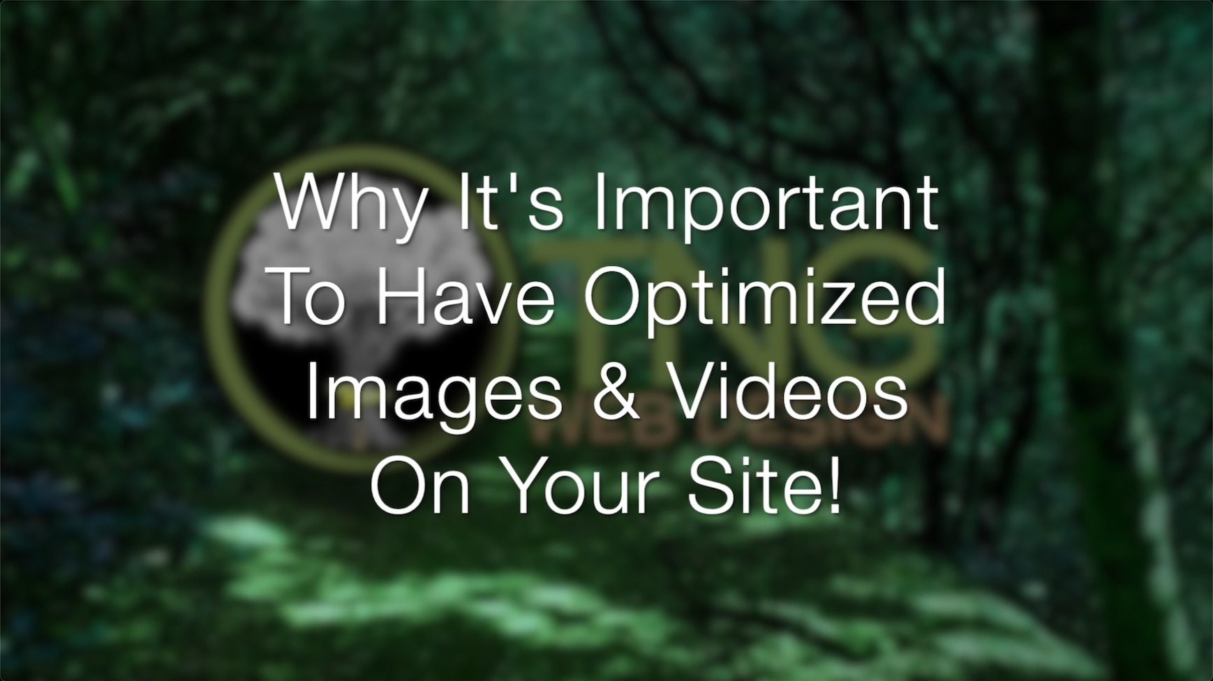 Featured image for “Why It’s Important To Have Optimized Images & Videos On Your Site”