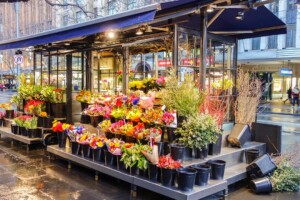 TNG Web Design Website Elements Demo Content 7 for Gallery