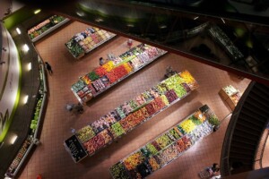 TNG Web Design Website Elements Demo Content 6 for Gallery